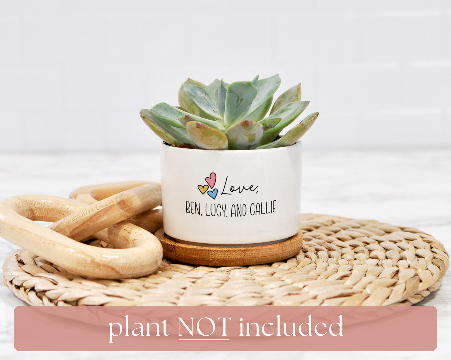 plant not included